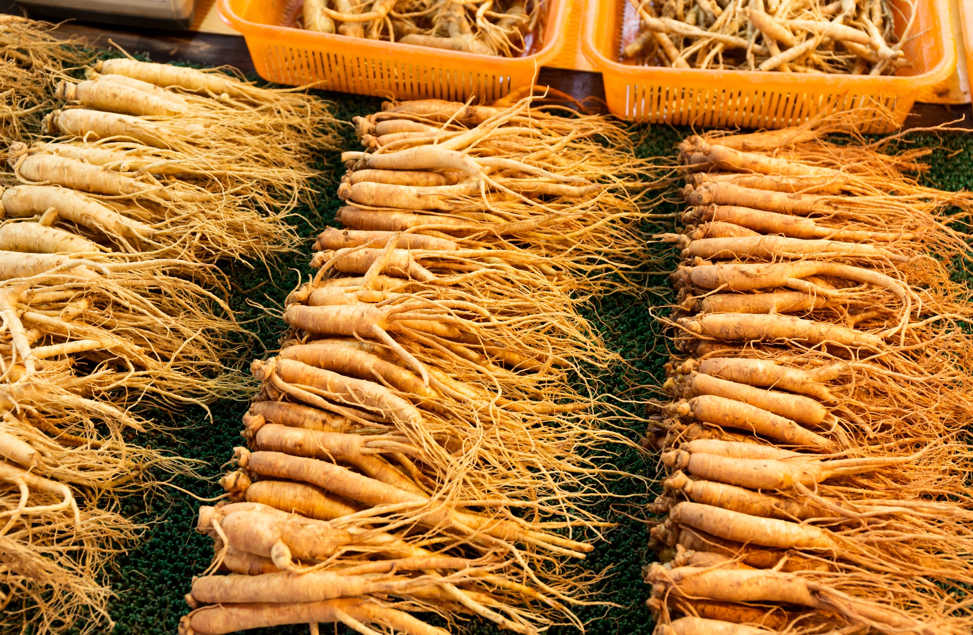 Scientific research is continuing to prove what healers have known for centuries: ginseng can be a powerful health booster