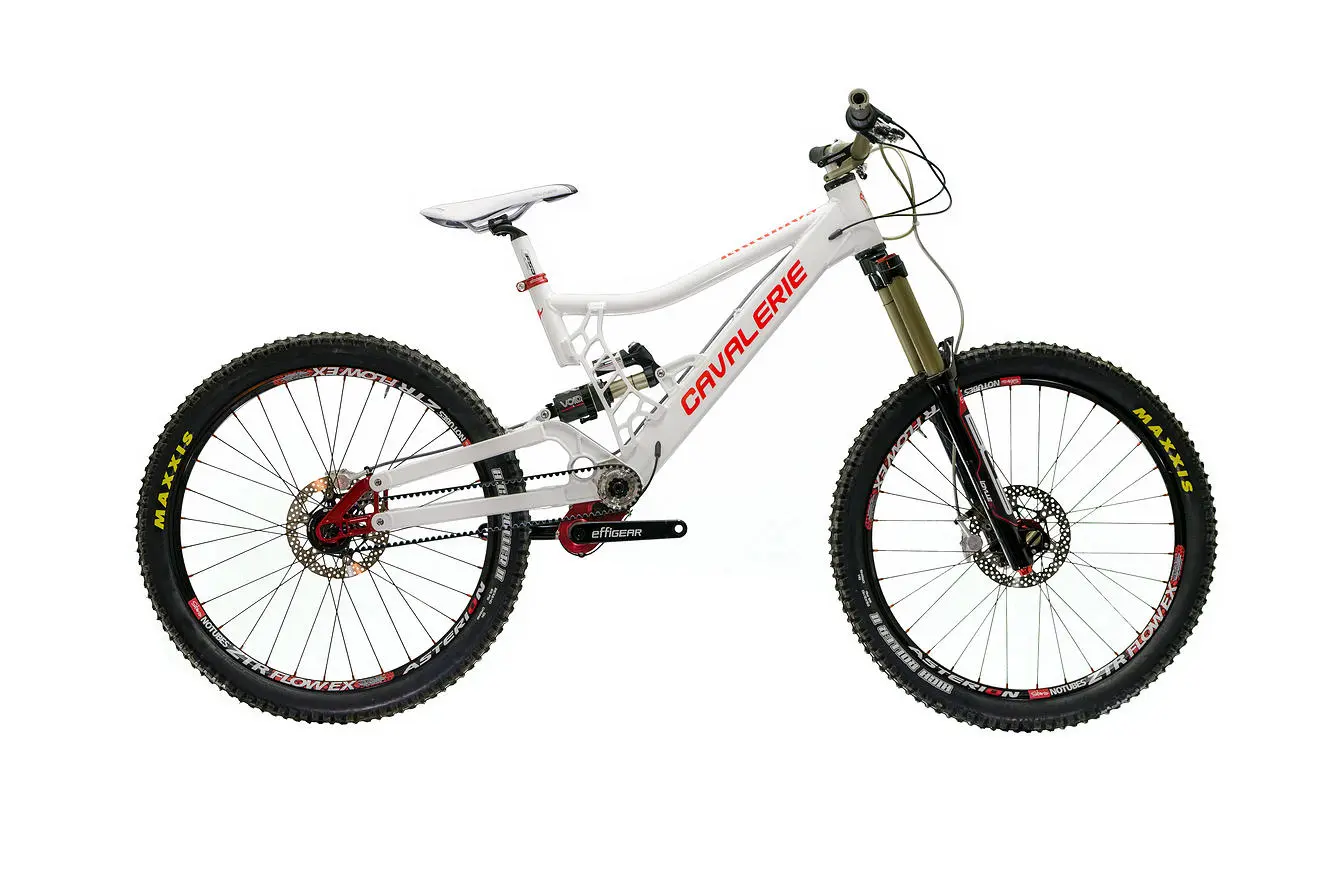 The Cavalerie Squirrel freeride bike