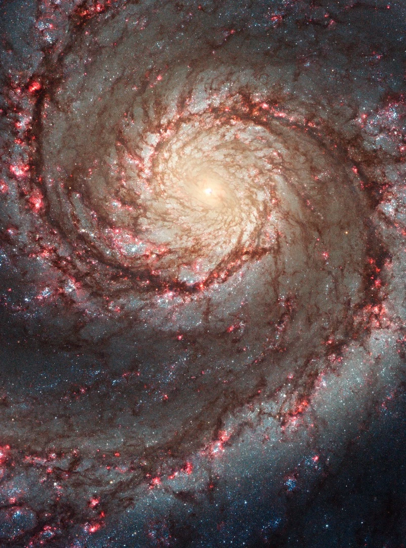 This image by NASA's Hubble Space Telescope shows a face-on view of the spiral galaxy M51, dubbed the Whirlpool Galaxy