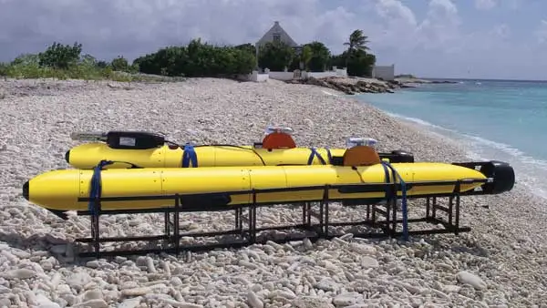 A couple of Gavia AUVs, similar to the one being used in Antarctica (Photo: Teledyne Gavia)