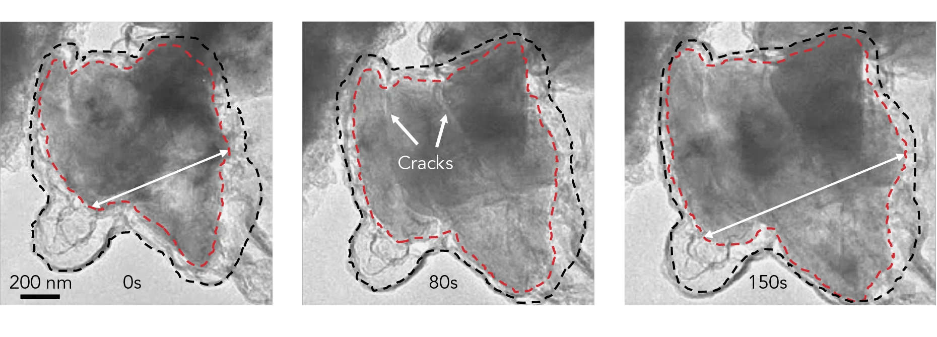 Time-lapse images from an electron microscope show a silicon microparticle (red) expanding and cracking within its graphene cage (black) as lithium ions rush in during battery charging