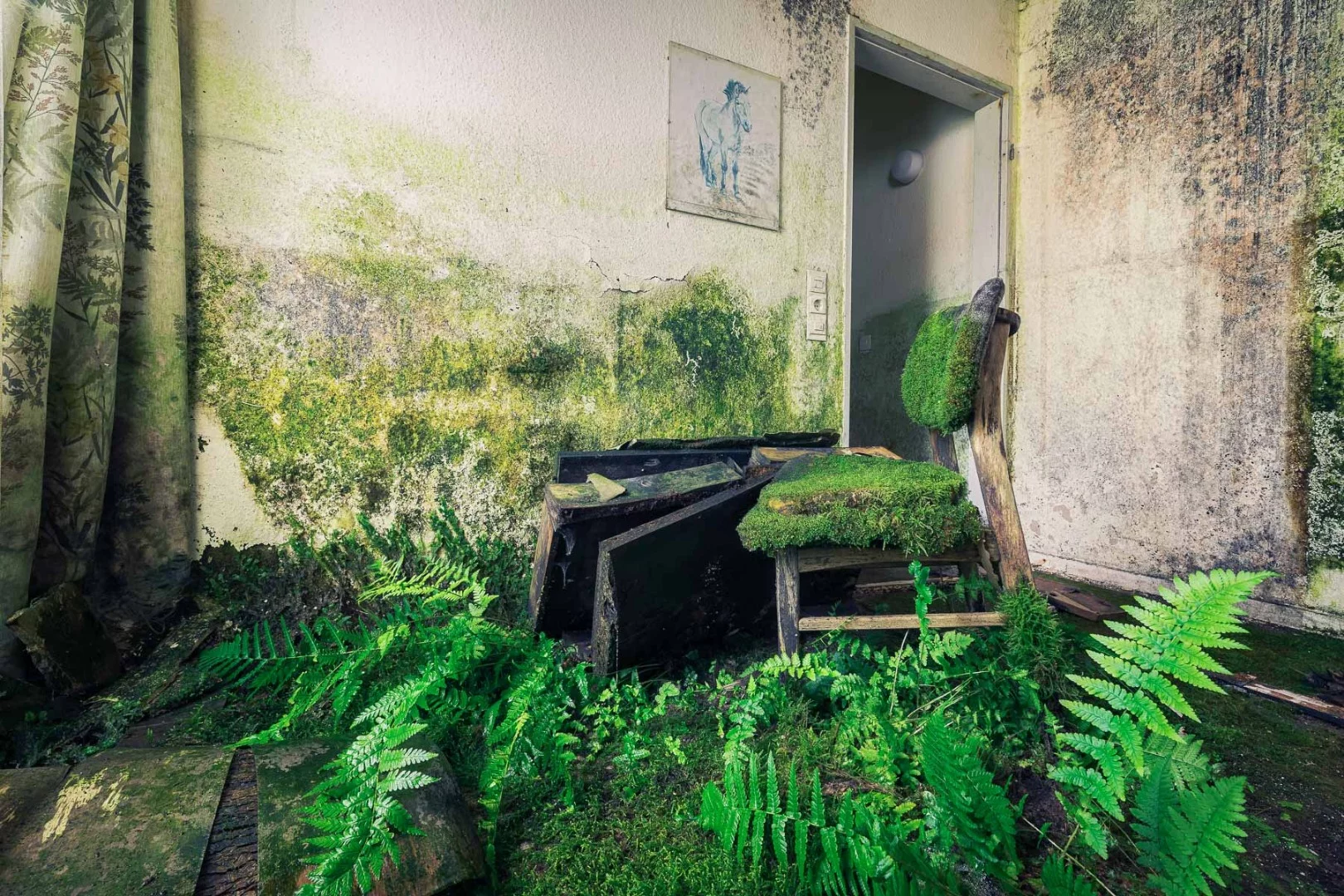 A leaking roof has turned this abandoned hotel into a blooming biotope