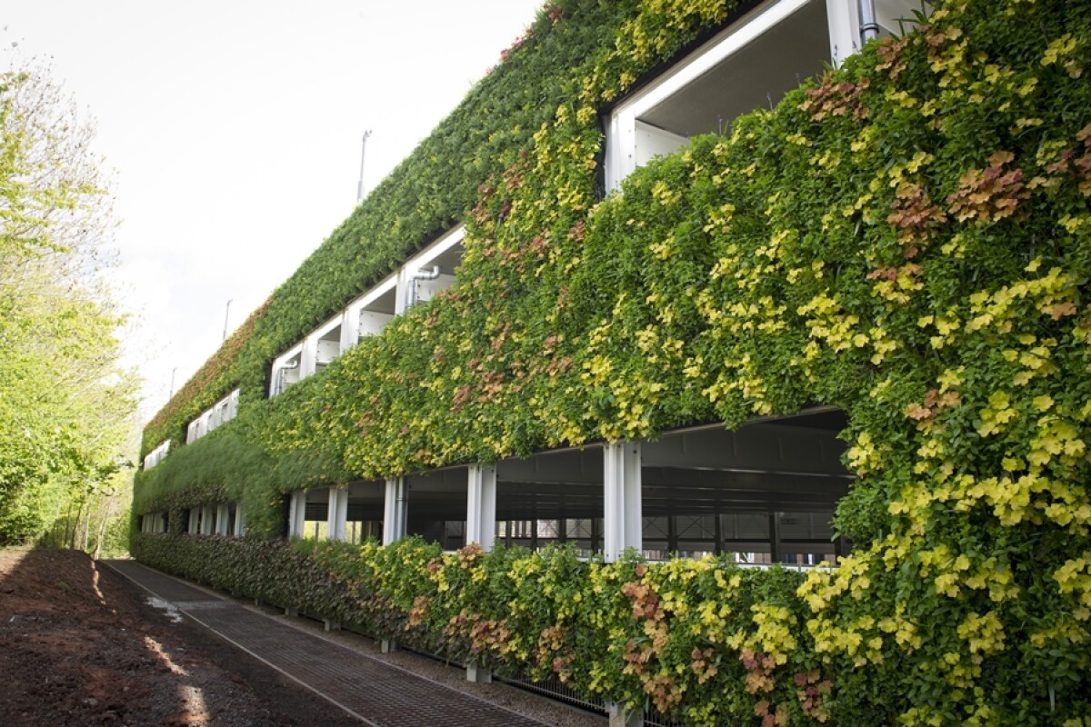 Uk S National Grid Claims Largest Living Wall In Europe