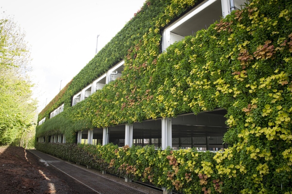 The living wall features over 20 different predominantly native and wildlife-friendly plant species