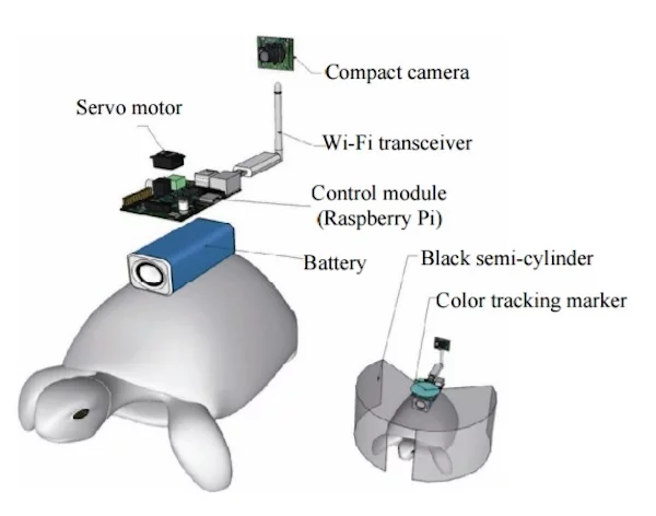 The system mounted on the turtle's back receives directions from a human controller wired into a brain-computer interface
