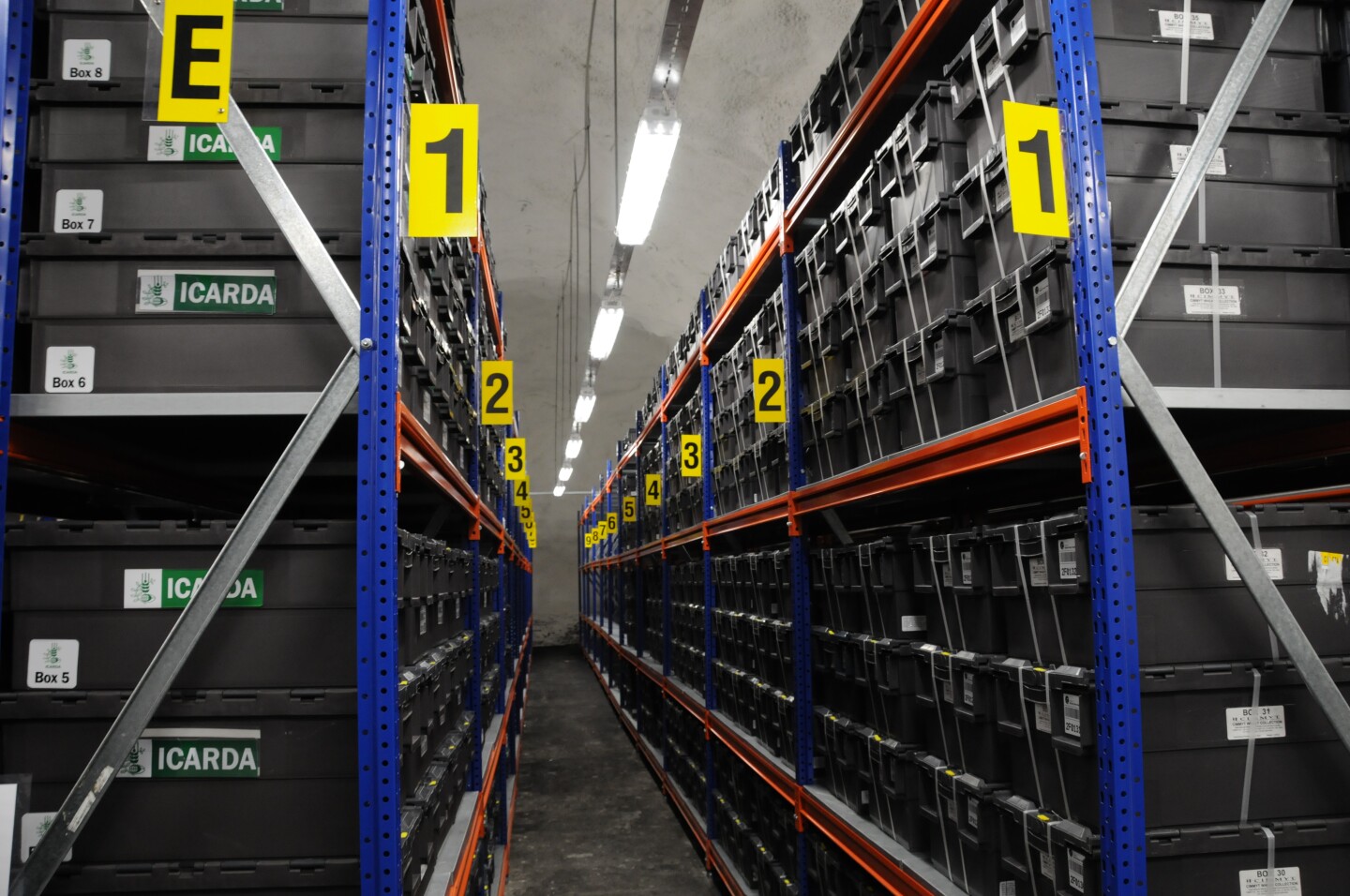 Global Seed Bank Gets Largest Deposit Since It First Opened Global Seed Bank Gets Largest Deposit Since It First Opened