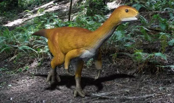 The recently-discovered Chilesaurus is made up of a weird mishmash of body parts from different types of dinosaurs
