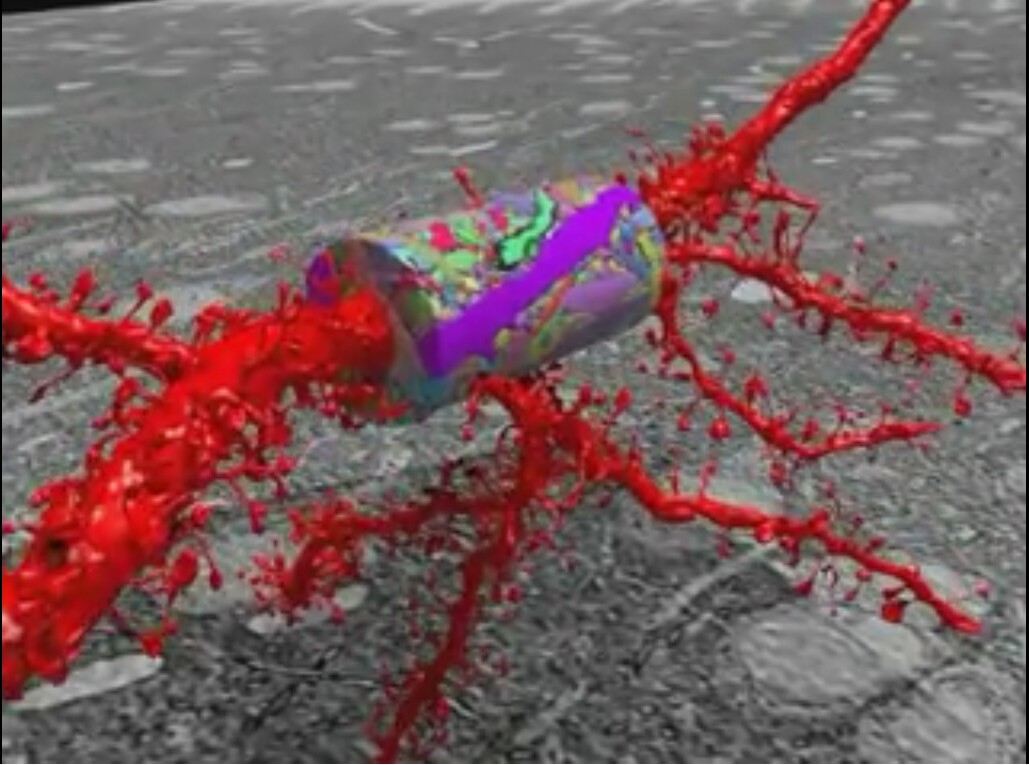 Zoomed in further from the previous image, the cylindrical object in the middle of this image is a 3D reconstruction of the area imaged for the demonstration