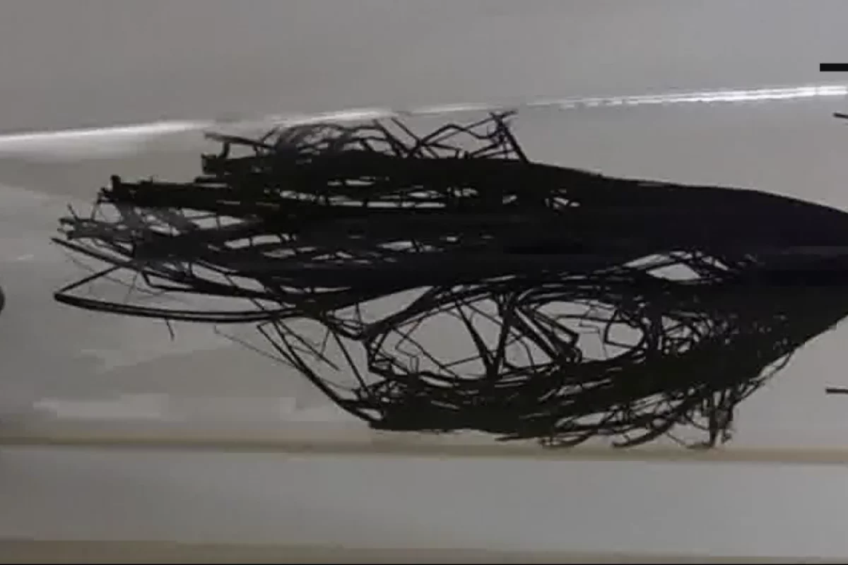 A new method grows forests of carbon nanotubes up to a new record of 14 cm (5.5 in) long