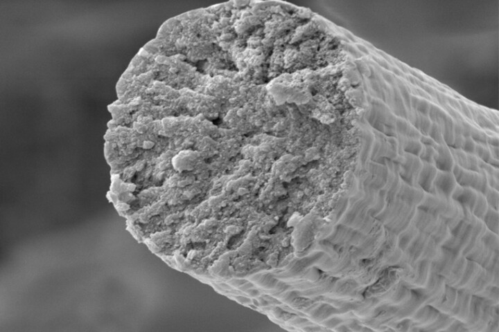 A scanning electron microscope image of a synthetic muscle fiber assembled by bacteria