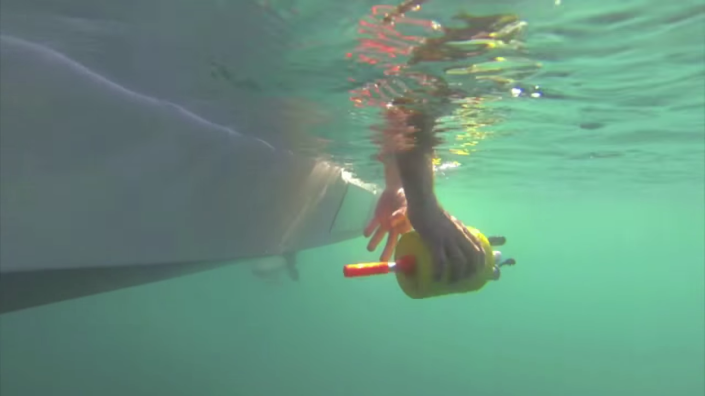The grapefruit-sized underwater robots carry temperature and other sensors to track the ocean conditions.