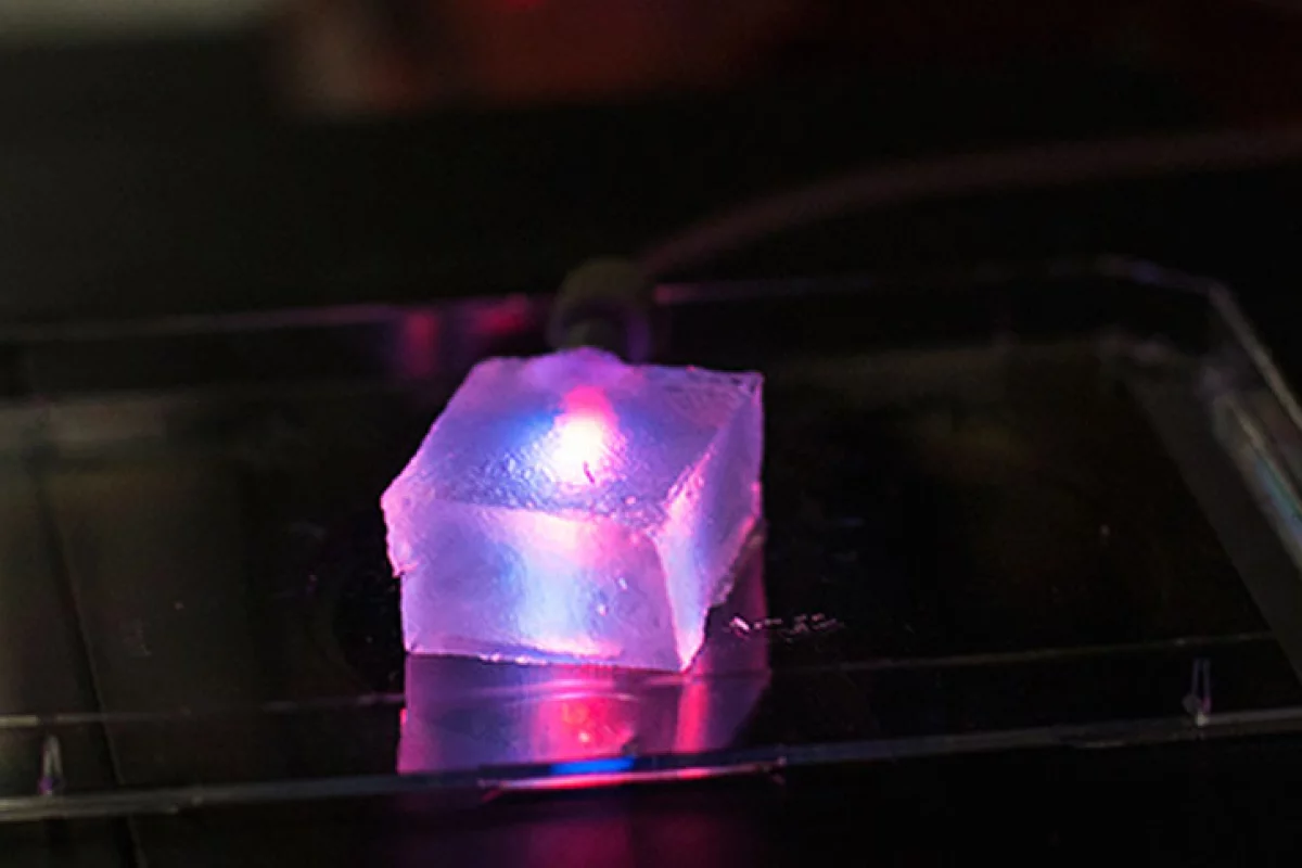 Three-dimensional slab of gelatin that contains a microvascular network created with the help of a machine very similar to a cotton candy machine