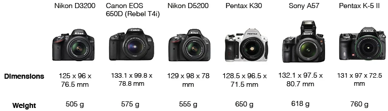 Size and Weight
