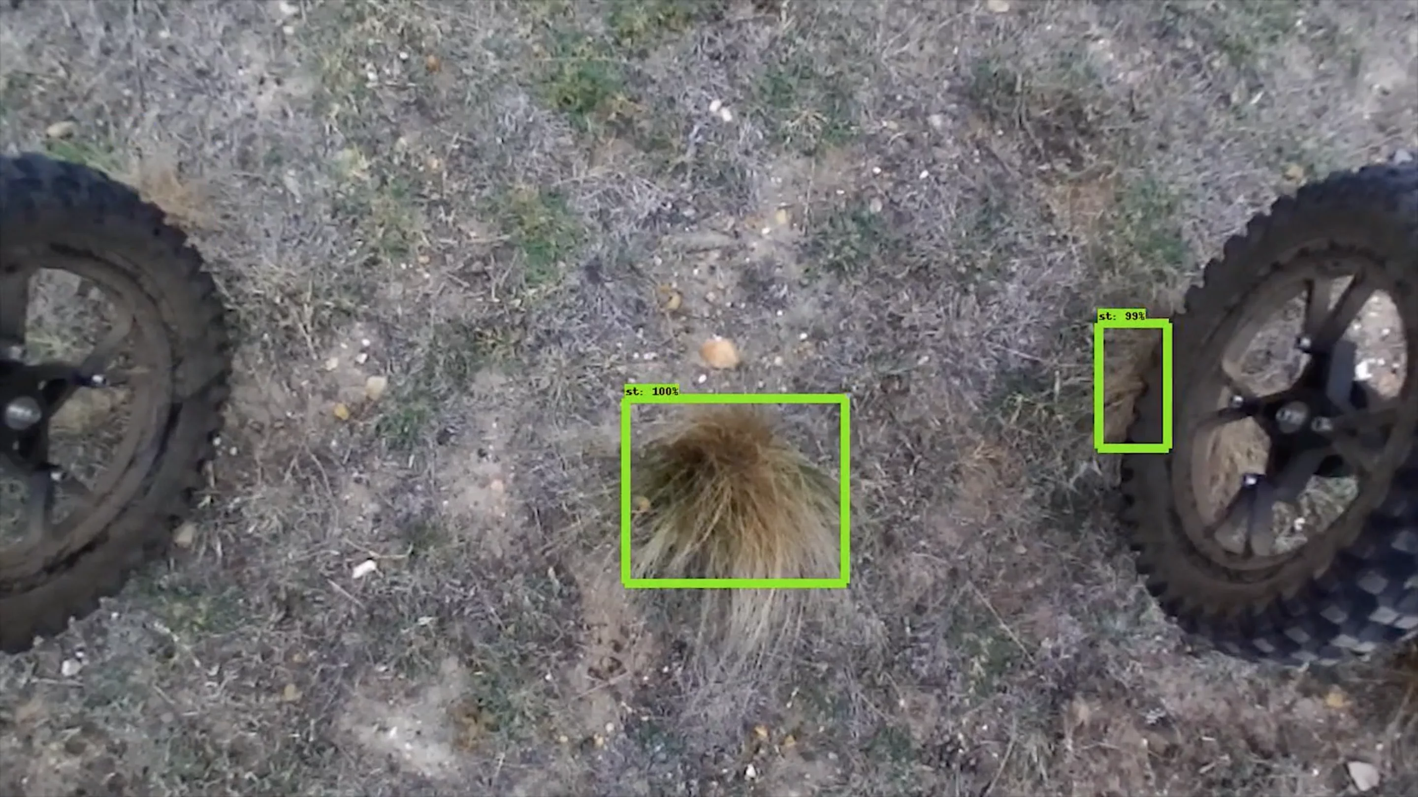 AI enables autonomous weed recognition and treatment