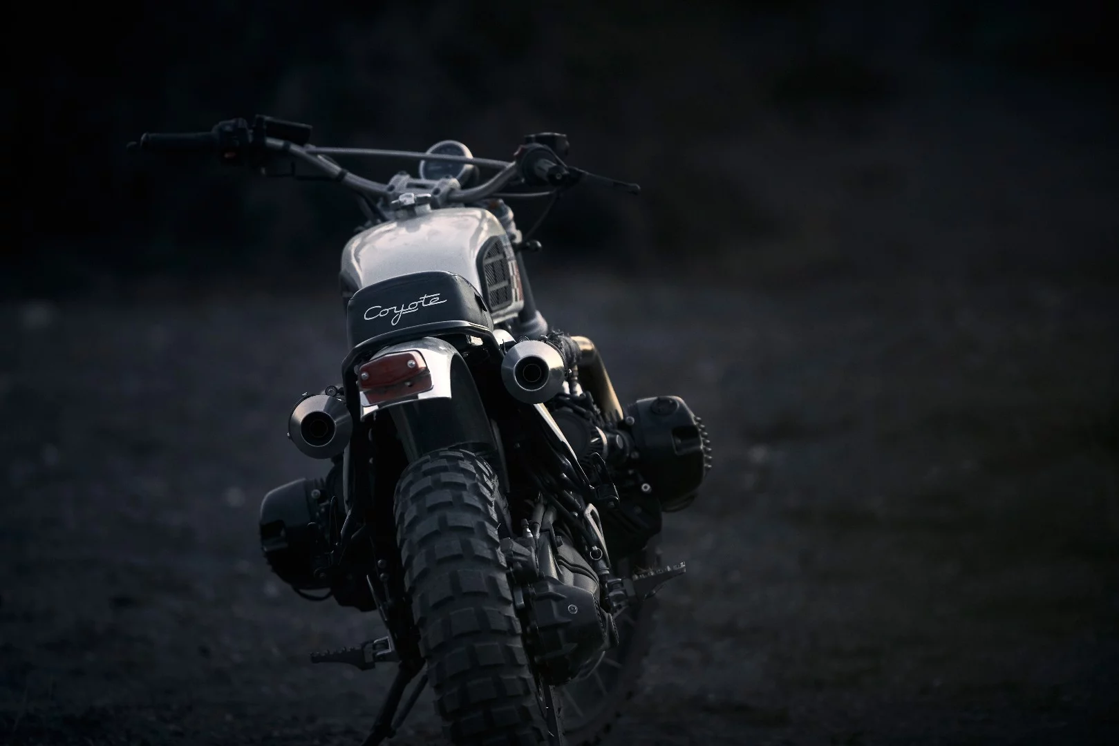 Coyote: phat backside