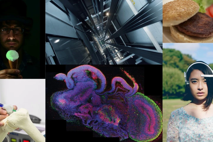 Looking back on a year filled with scientific accomplishment