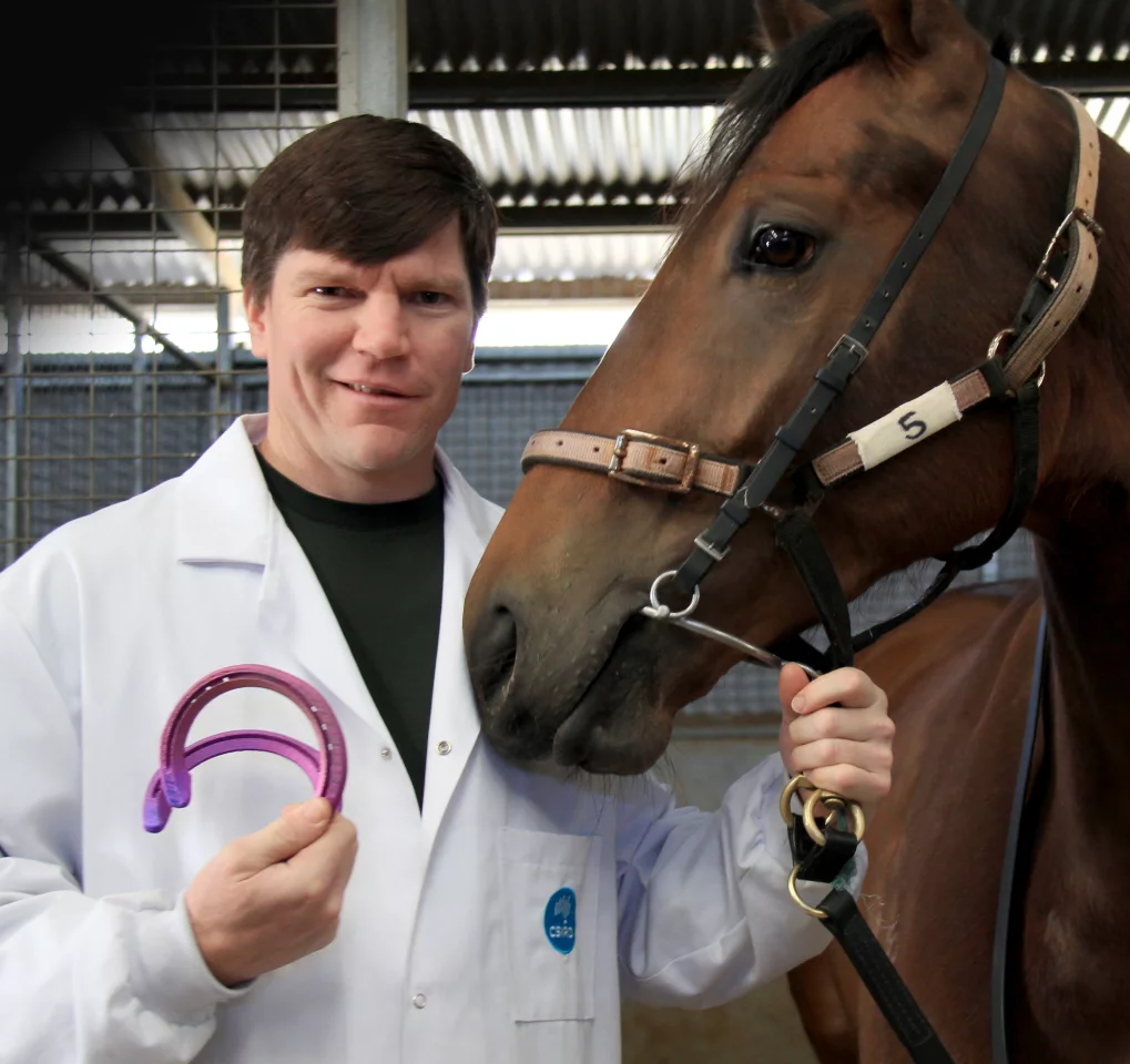 CSIRO researcher, Chad Henry, presents the new race shoes to the horse