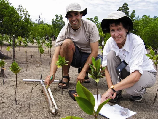 Earthwatch's "Tidal Forests of Kenya" expedition (Photo: Christian Barrus)
