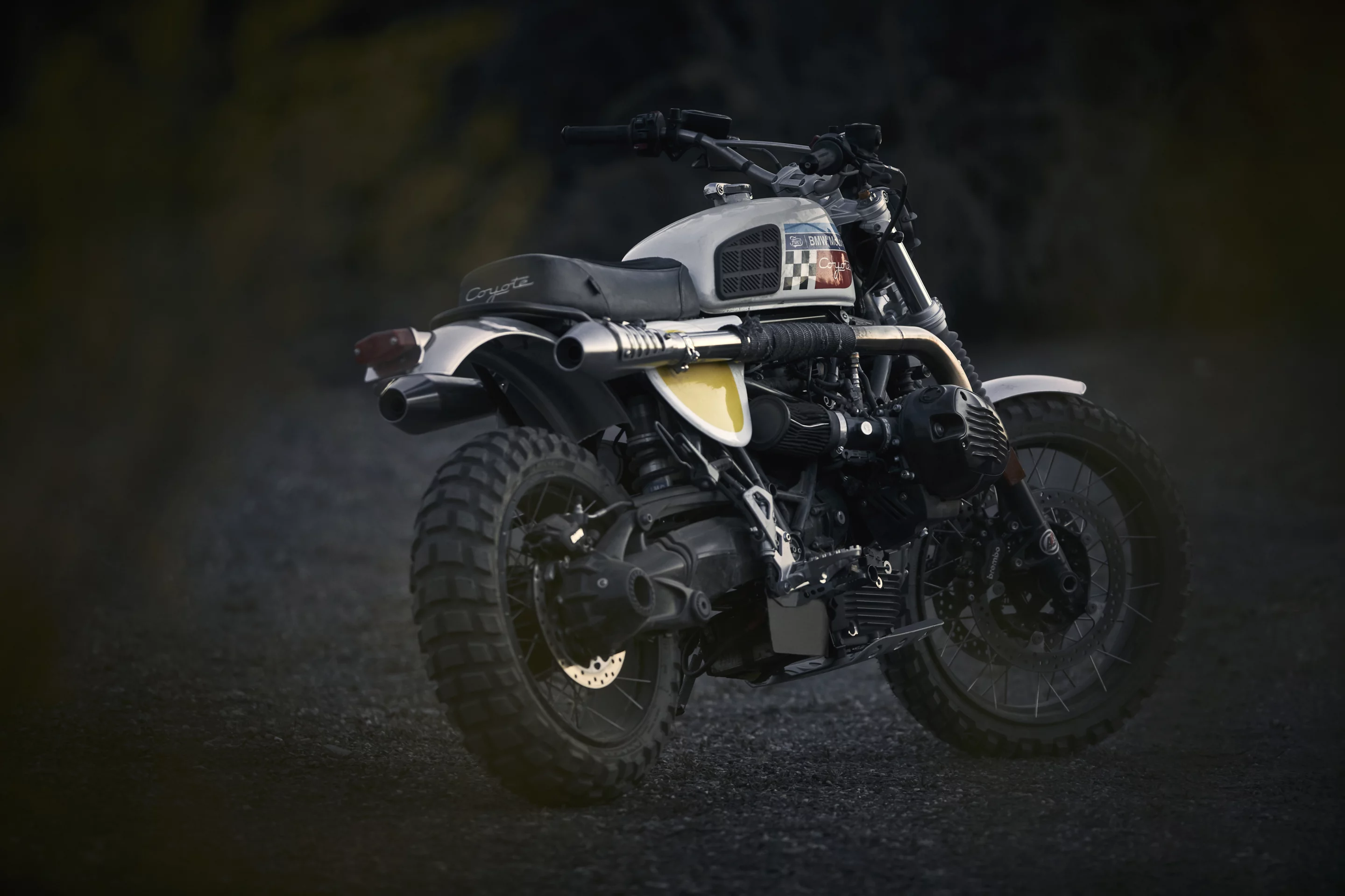 Coyote: wouldn't look out of place in a showroom