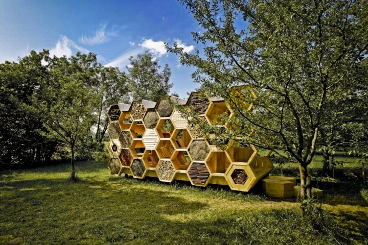 French Architecture Studio AtelierD has designed a pavilion for both bees and humans (Photo: Stephane Spach)