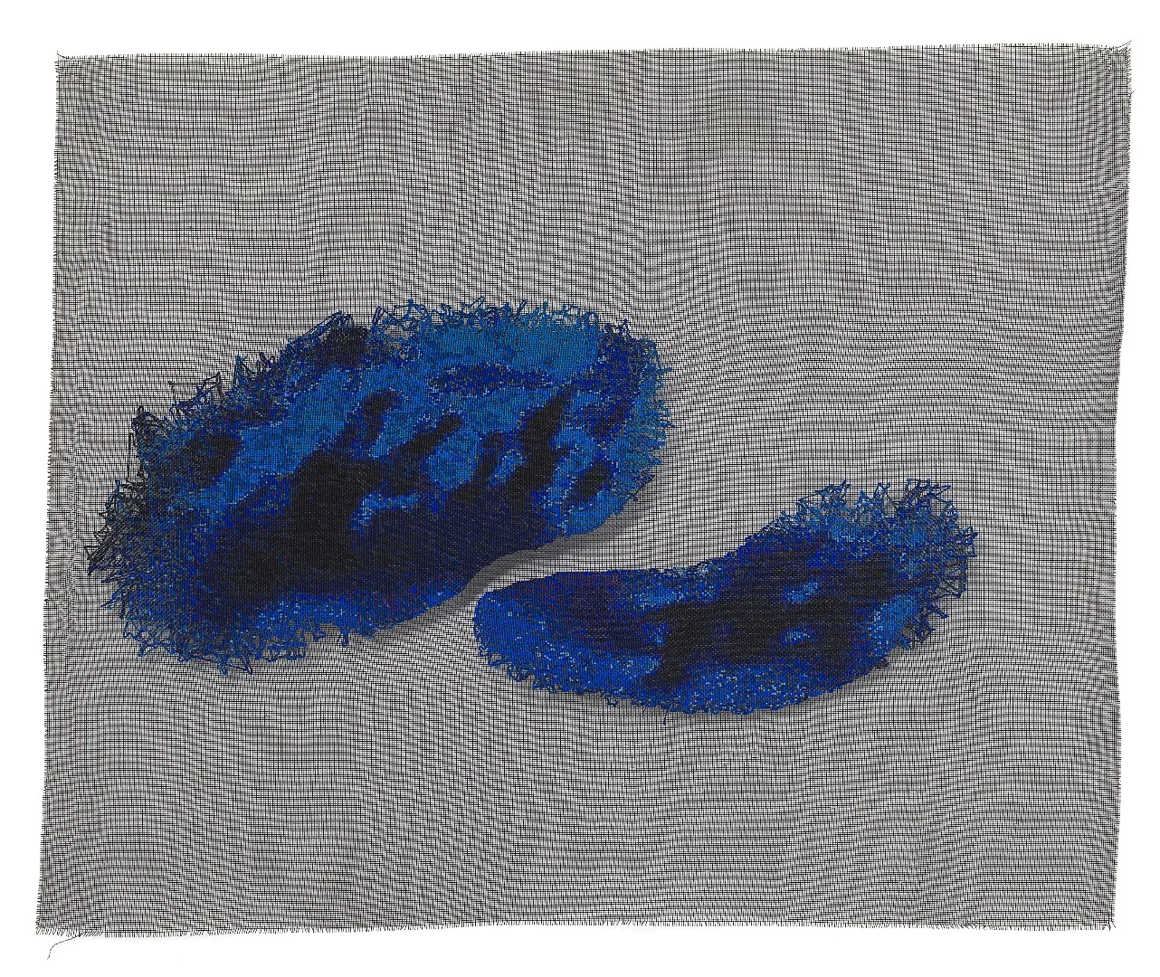 Louisa Bufardeci The sea between A and I 2014 – 15 09/06/2013, 9°1’52.01”S 106°24’51.56”E fibreglass (mesh), wool National Gallery of Victoria, Melbourne Purchased, Victorian Foundation for Living Australian Artists, 2016