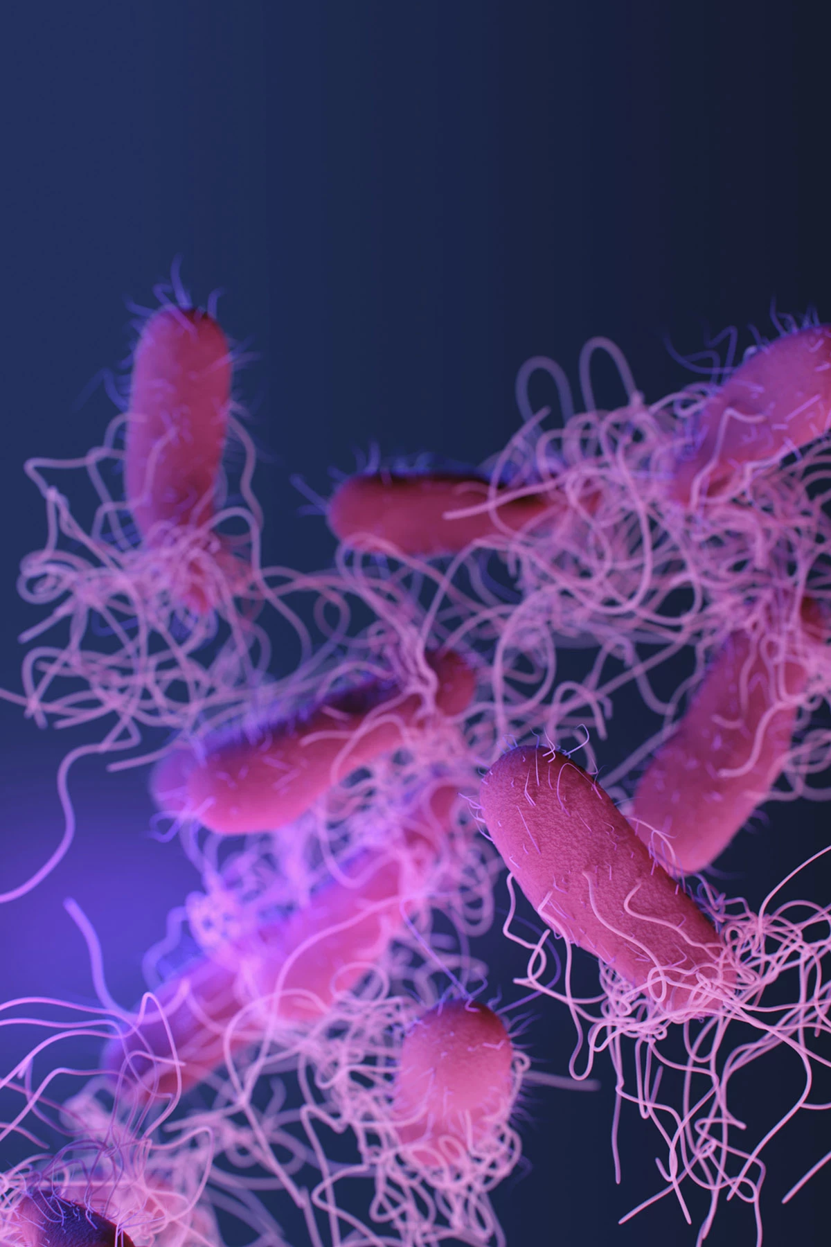 Drug–resistant nontyphoidal Salmonella bacteria can cause stomach cramps and diarrhea