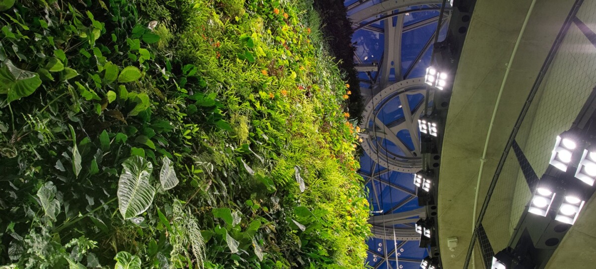 The Living Wall