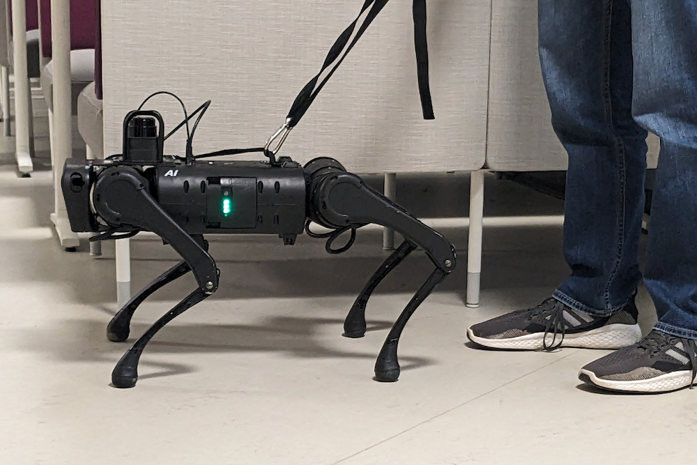 Unitree's Aliengo quadruped costs $50,000 and can avoid obstacles. This image shows the Aliengo under development as an assistant for the blind at New York's Binghamton University
