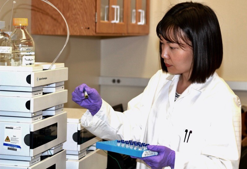 Xuelian Bai, PhD, works with an algae sample
