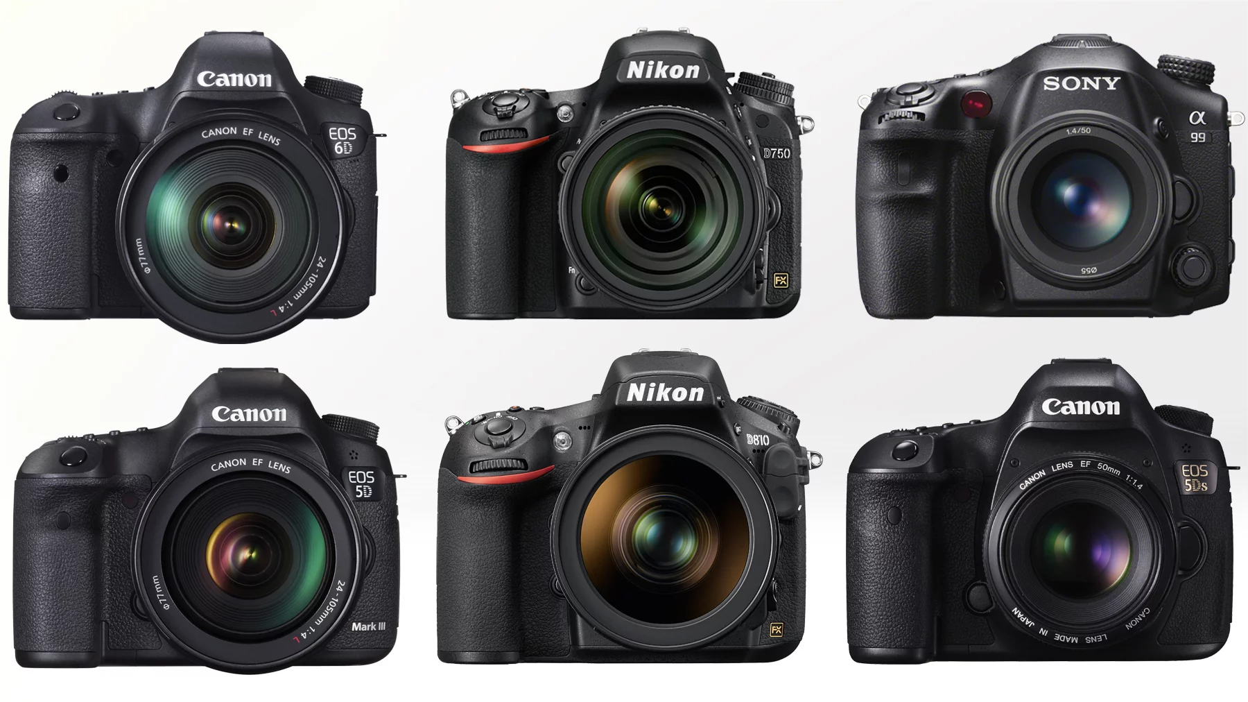 Gizmag compares some of the most popular and best full frame DSLRs available in 2015