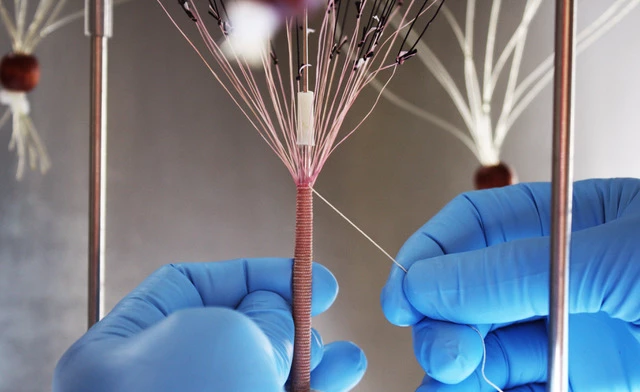 Blood vessels made from the yarn should reportedly be tolerated by all patients