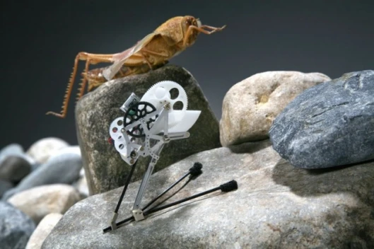 Click image to enlargePhoto: Alain Herzog/EPFL