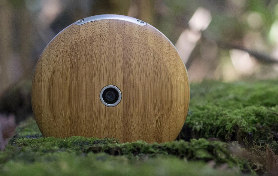 One of several finish options for the device