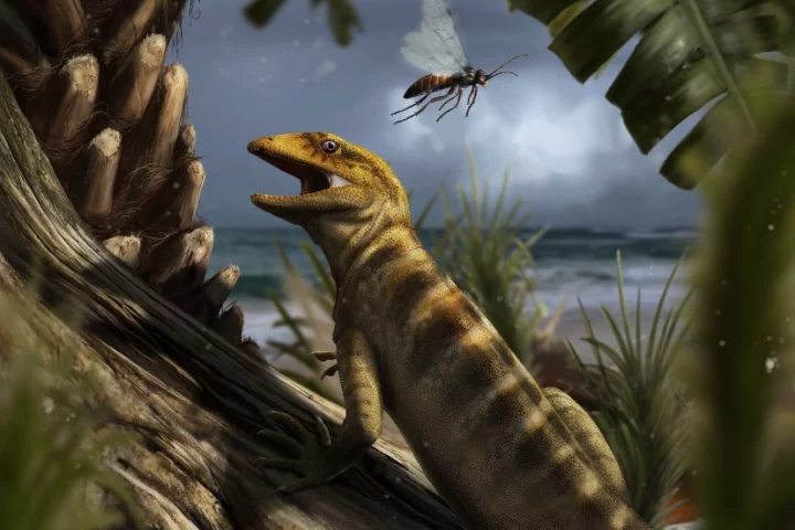 Recreation of life in the Dolomites 240 million years ago, with the oldest lizard known to man Megachirella wachtleri, going about its business