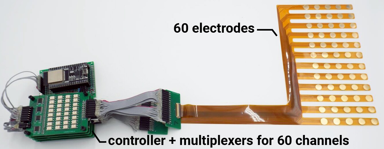 One of the FeetThrough electrode arrays