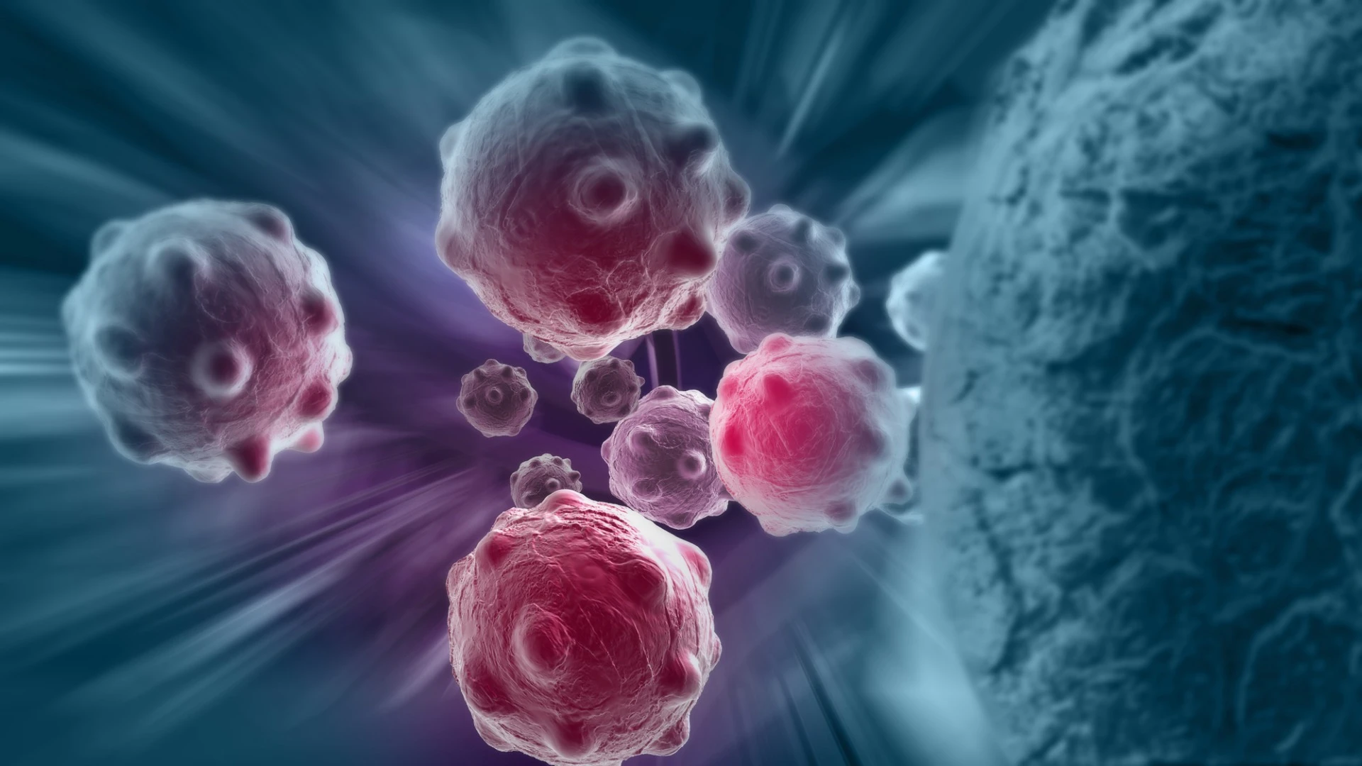 Vanderbilt researchers have developed a new technique to wipe out travelling cancer cells in the bloodstream before they metastasize