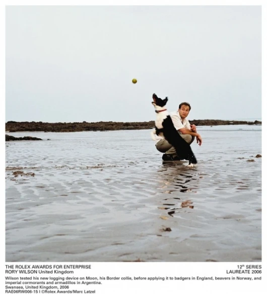 Wilson tested his logging device on Moon, his Border Collie Photo Credit: Rolex Awards / Marc Latzel