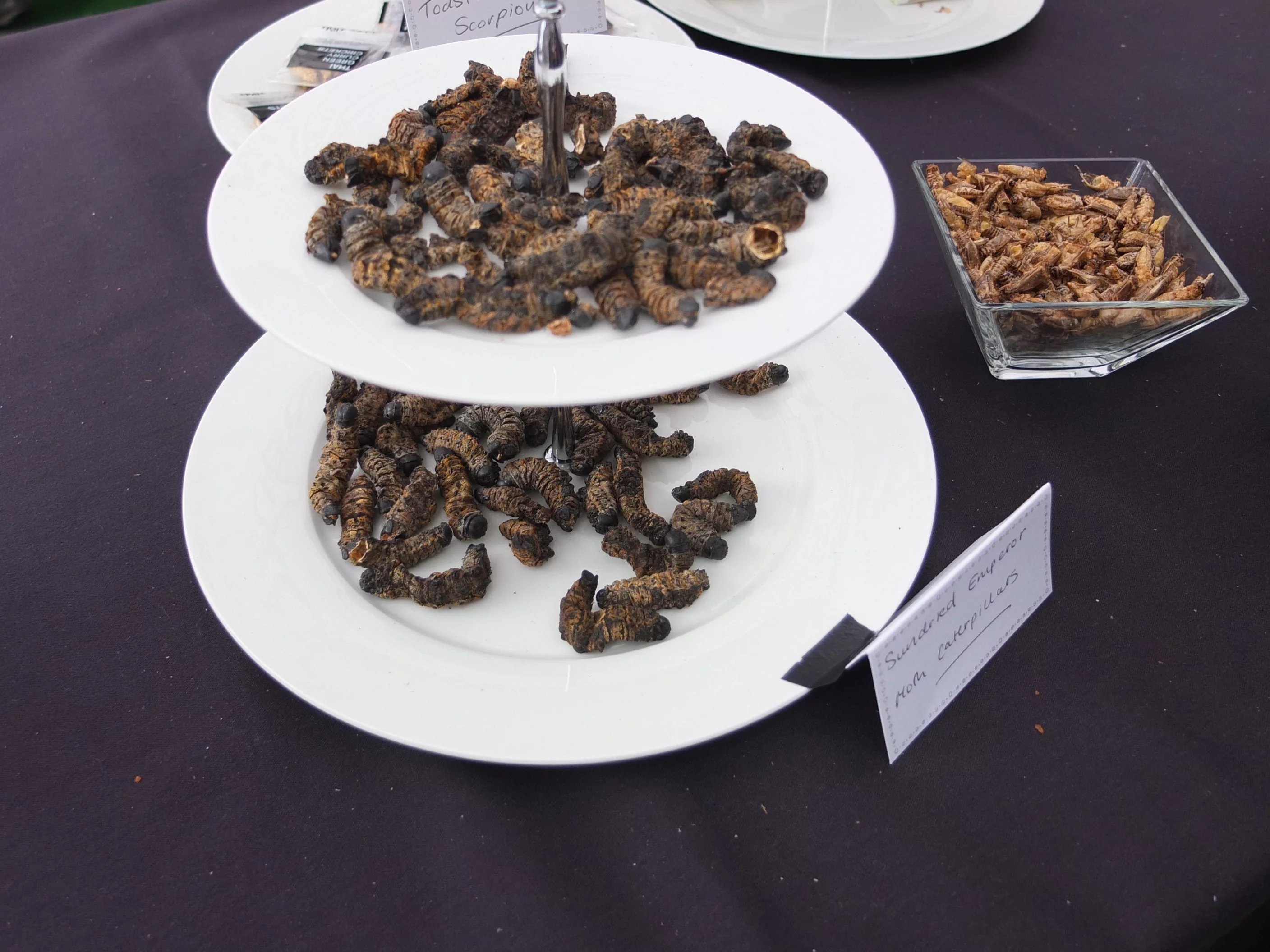 Sundried emperor moth caterpillars (Photo: Gizmag)