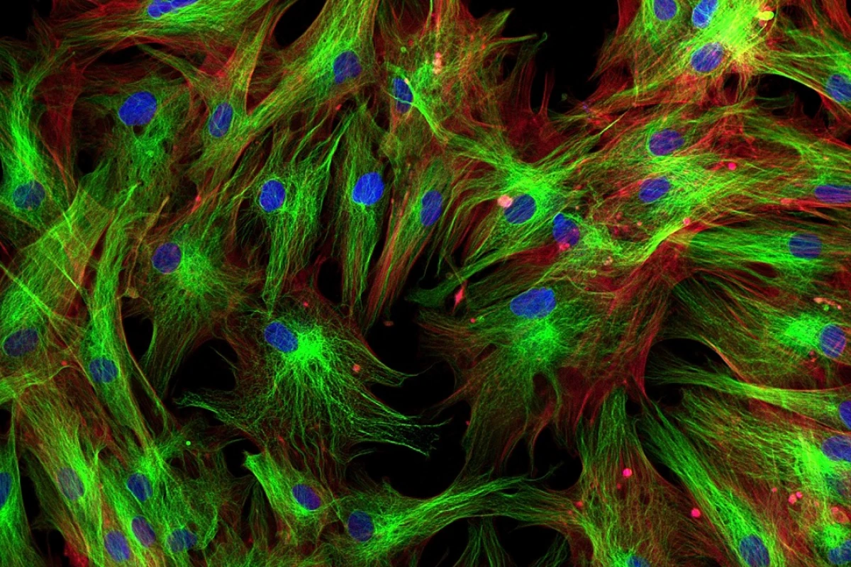 The new method may allow scientists to search for signs of cancer at the cellular level