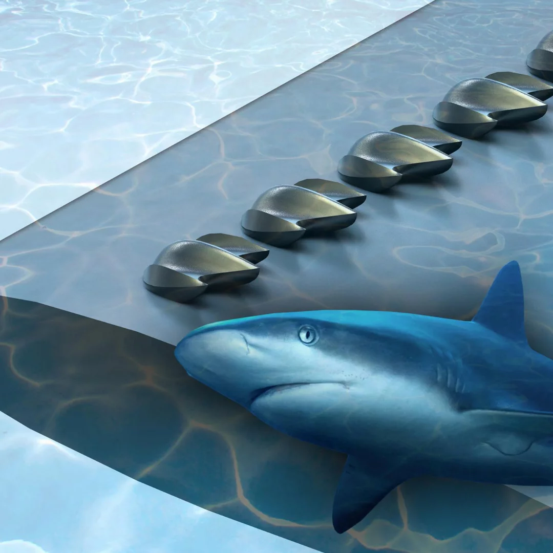 In a new study, researchers turned to shark scales in an attempt to improve the aerodynamic performance of planes, drones and wind turbines