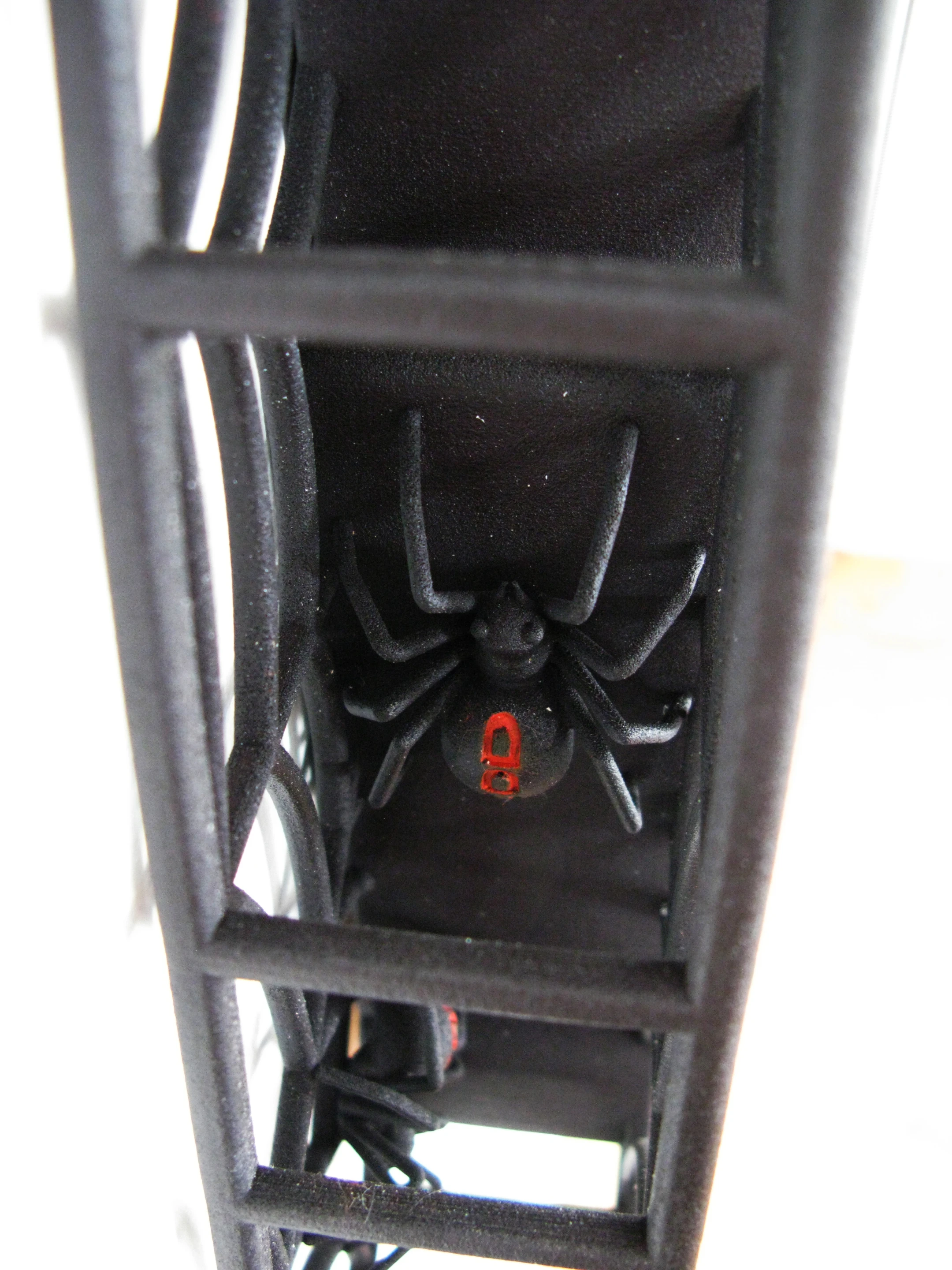Close up of one of the spiders at home in the web body of the ODD Spider