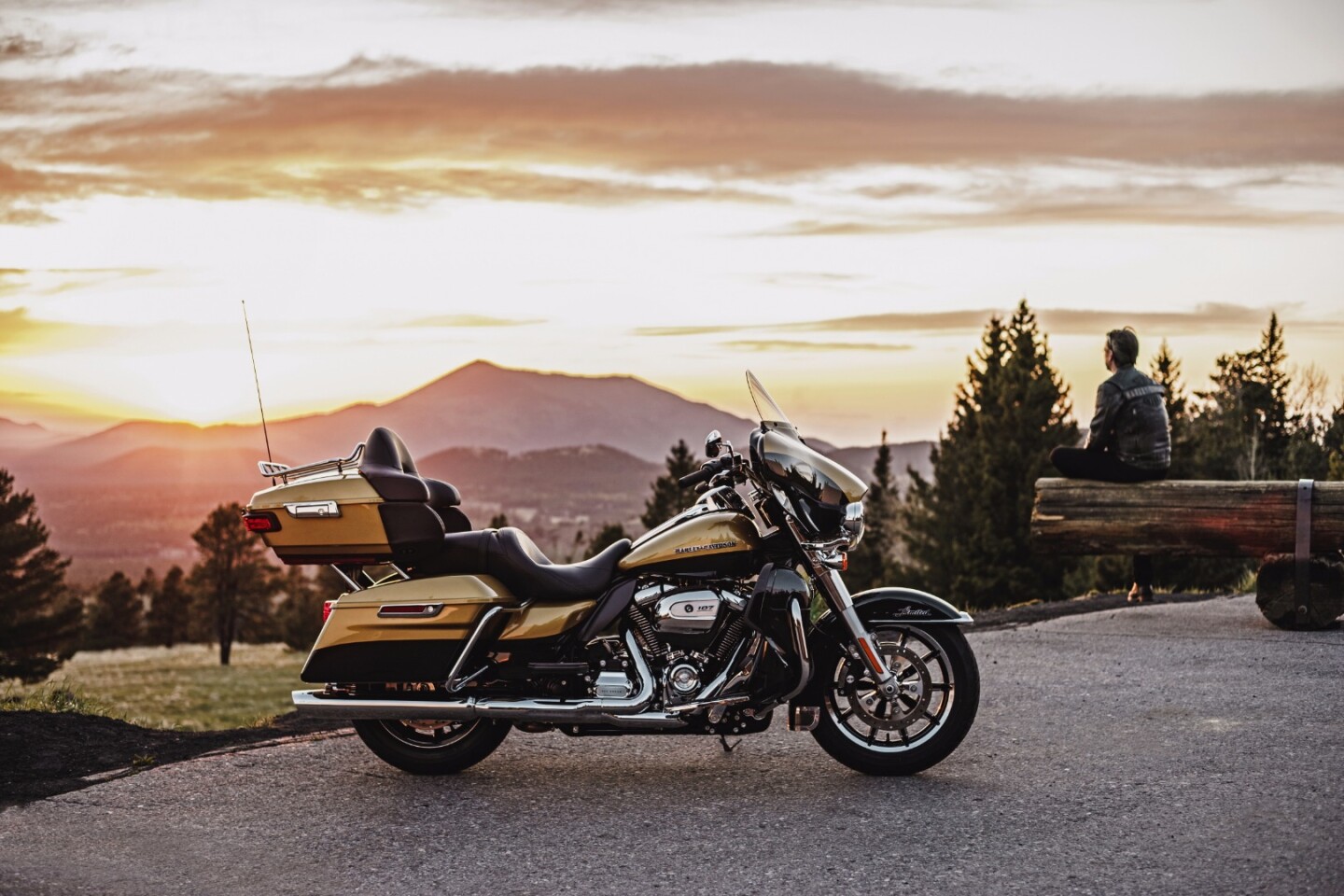 Harley-Davidson Milwaukee Eight engine in a touring motorcycle