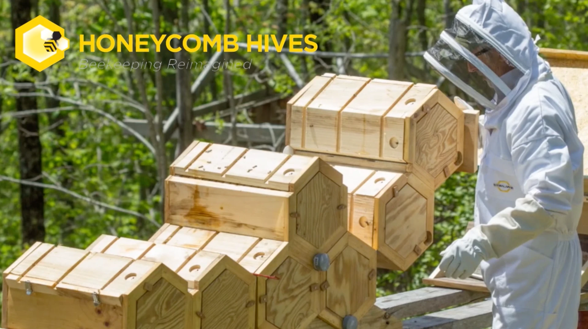 Maybe bees were onto something, with all those hexagons