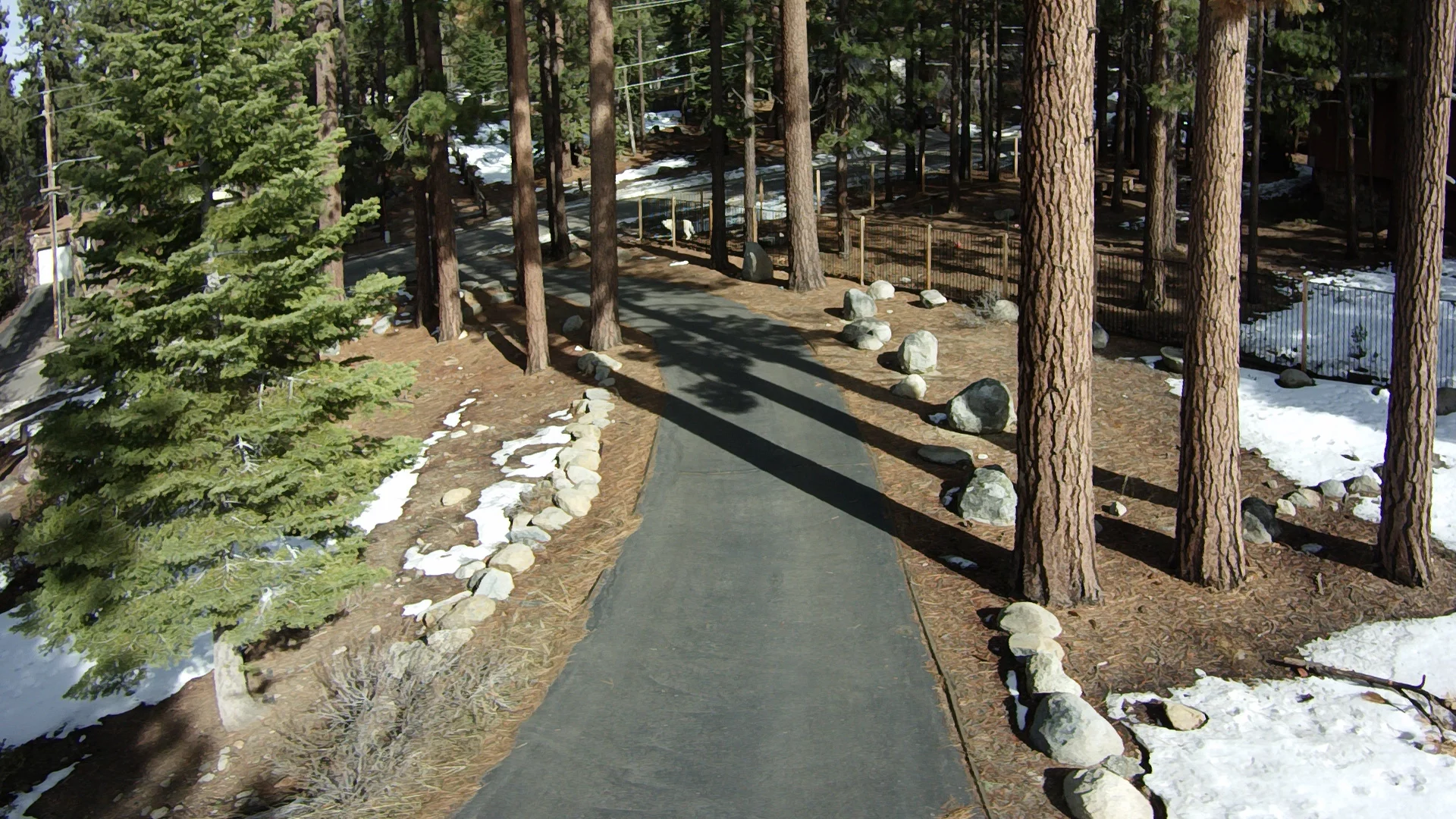 Still photo from ProDrone Byrd Standard