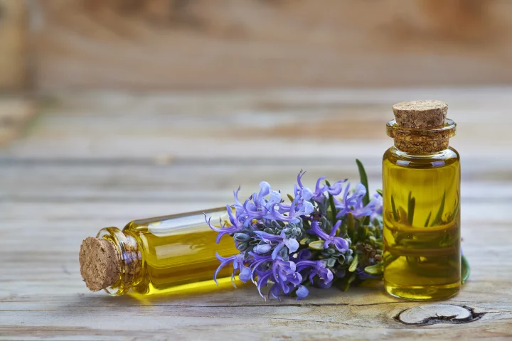 The smell of rosemary essential oil reportedly enhances working memory in children