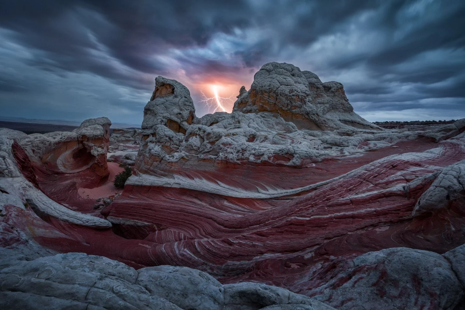 Remarkable Award in The Beauty of Nature. Lightman