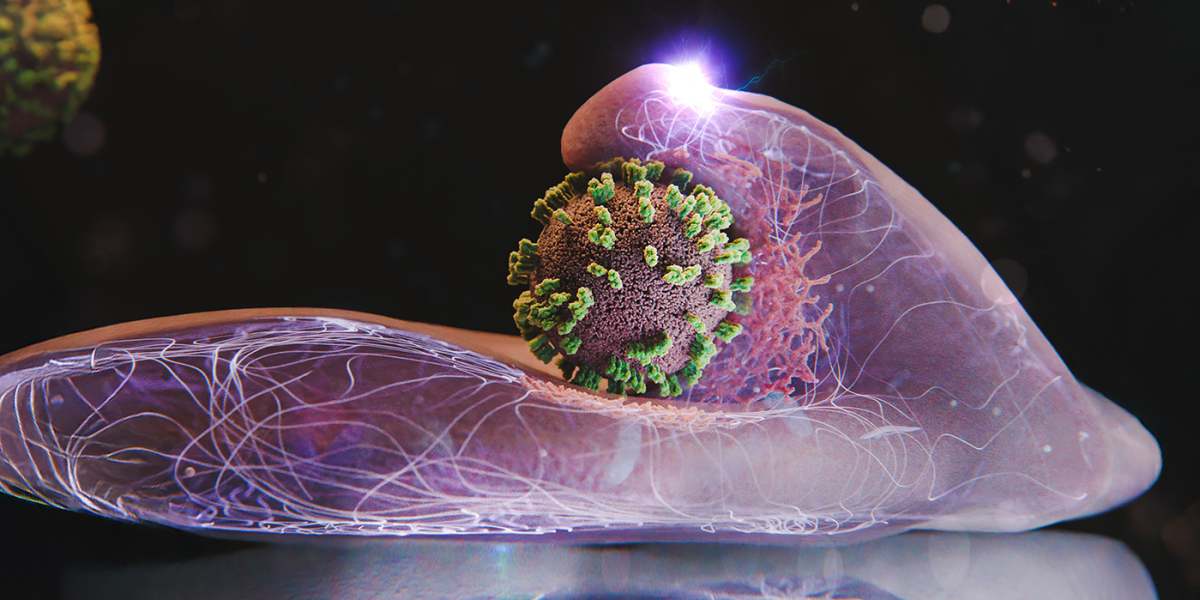 We can now watch influenza enter human cells