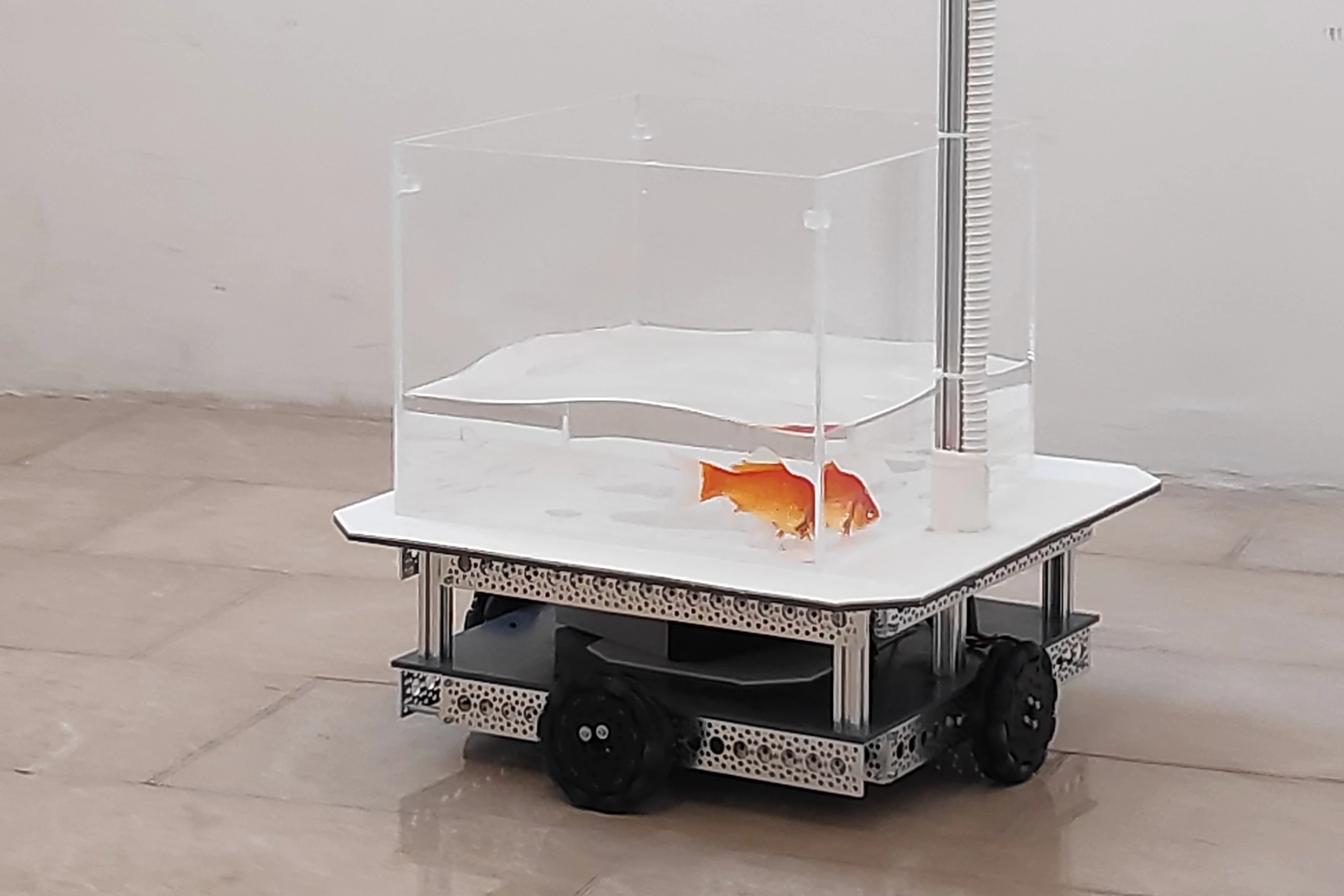 An onboard LiDAR sensor was used to track the FOV's location within the enclosure