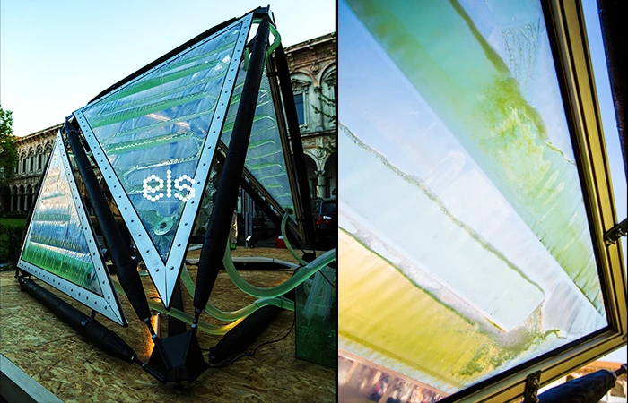 Urban algae canopy: photosynthesis provides extra shade on sunny days while allowing light through when it's overcast.
