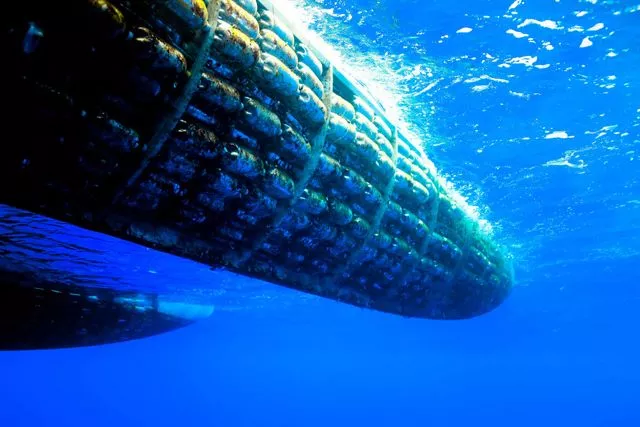 The Plastiki's plastic-bottle hulls, slicing through the water